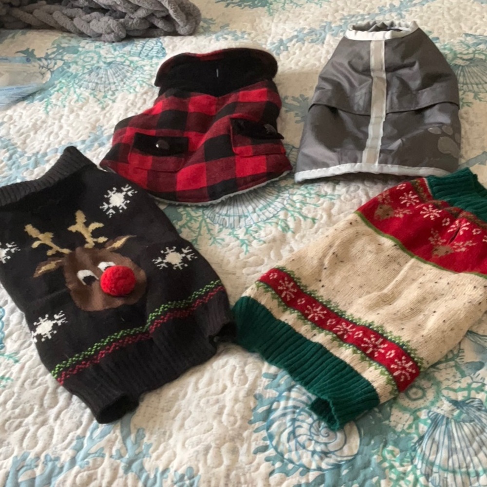 Festive Dog Sweater Collection